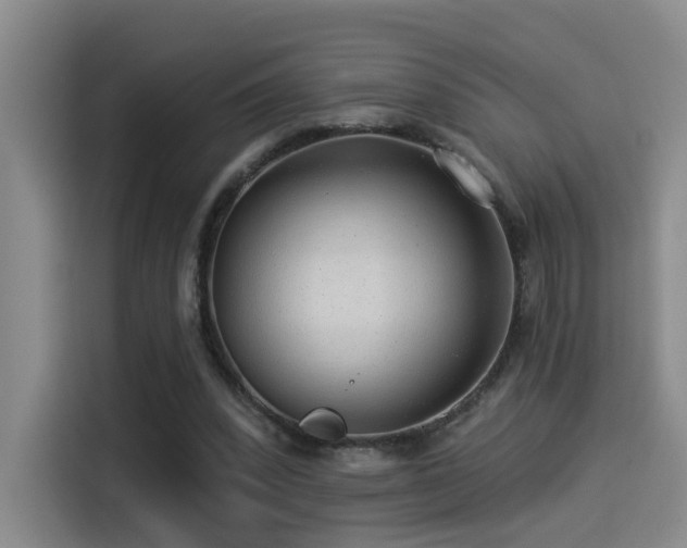 X0000114490392200910191235