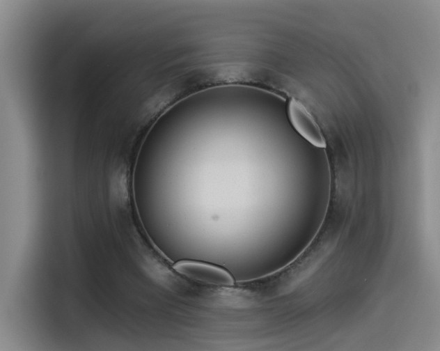 X0000114490393200910191235
