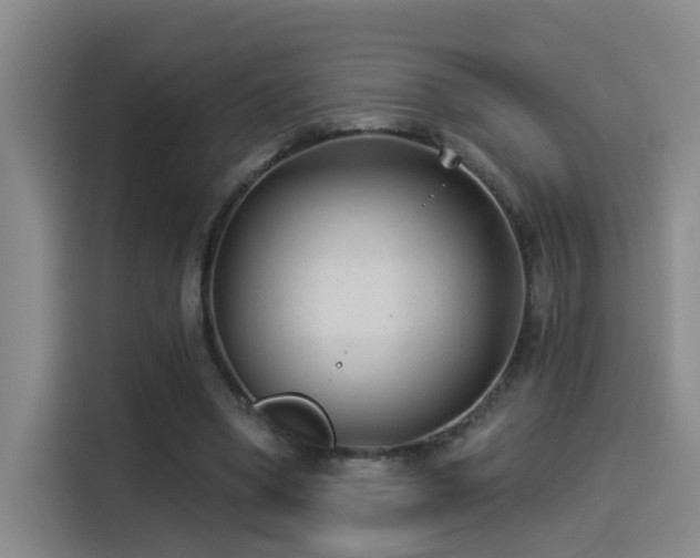 X0000114490394200910191235