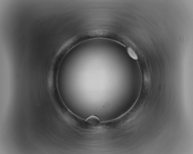 X0000114490396200910191235