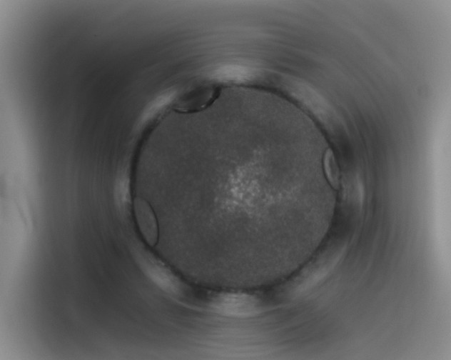 X0000114490399200910191235