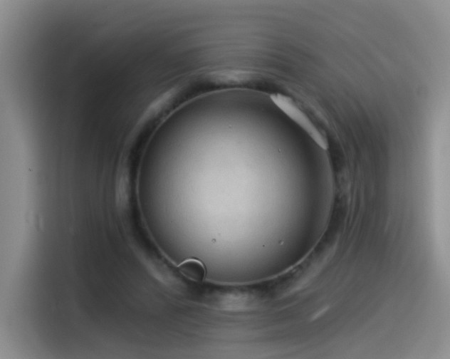 X0000114490400200910191235