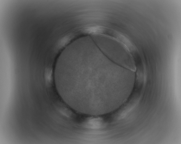 X0000114490403200910191235