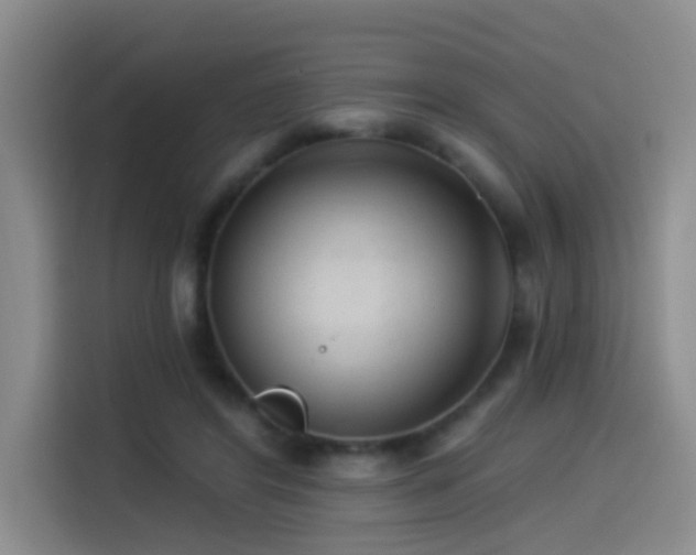 X0000114490404200910191235