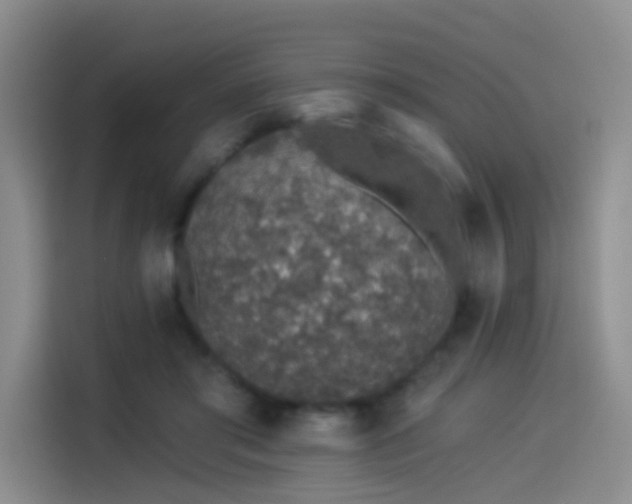 X0000114490405200910191235