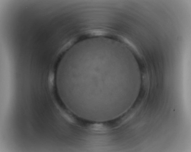 X0000114490406200910191235