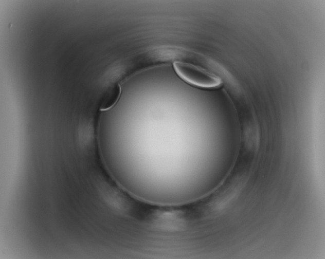 X0000114490407200910191235