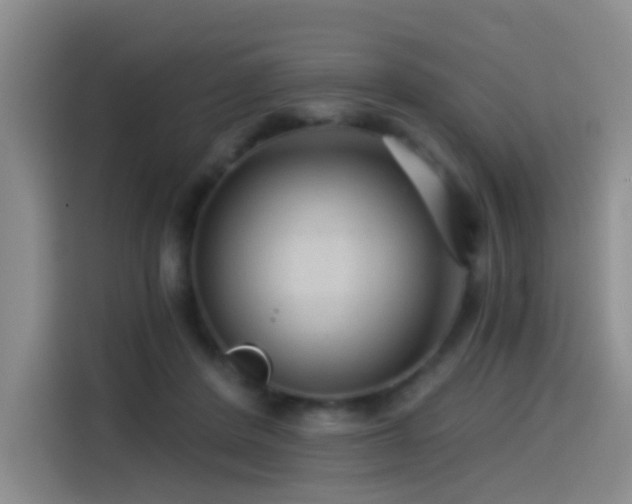 X0000114490408200910191235