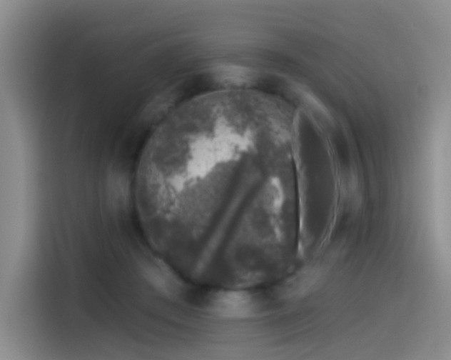 X0000114490409200910191235