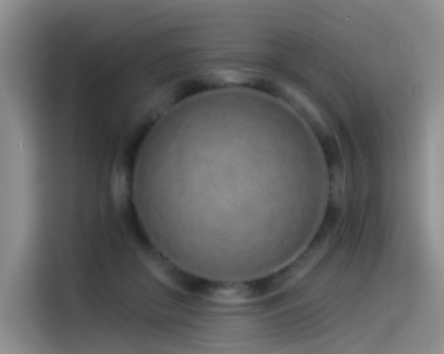 X0000114490410200910191235