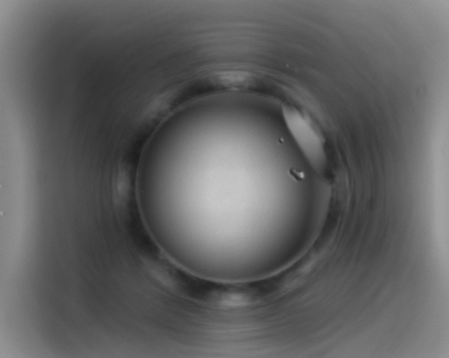 X0000114490412200910191235