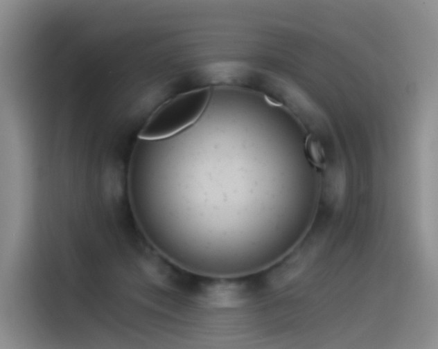 X0000114490413200910191235