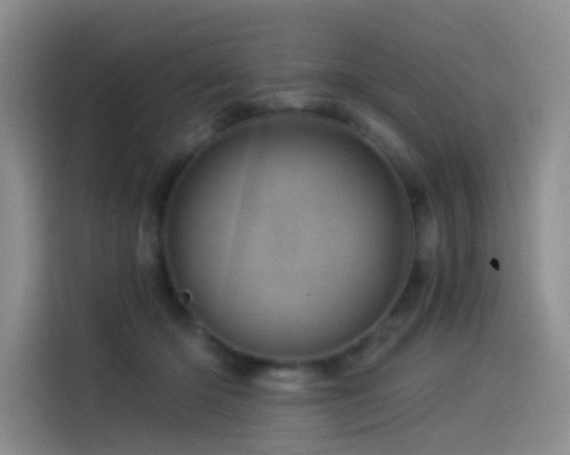 X0000114490414200910191235