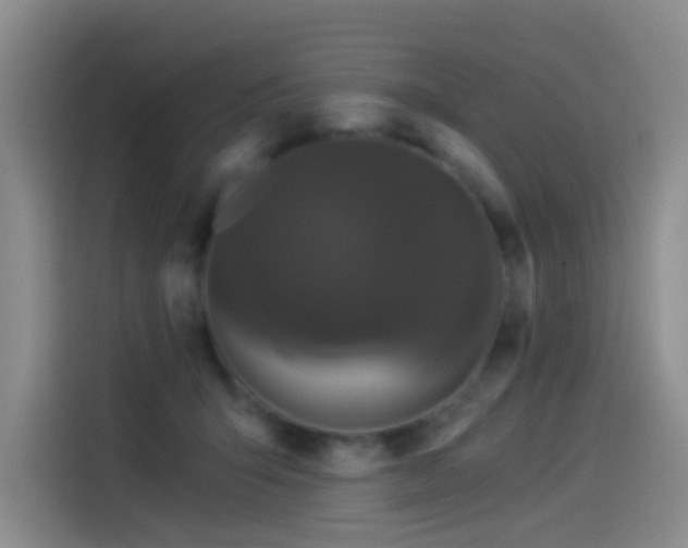 X0000114490415200910191235