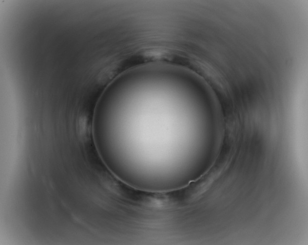 X0000114490420200910191235