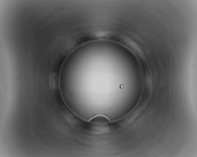 X0000114490421200910191235