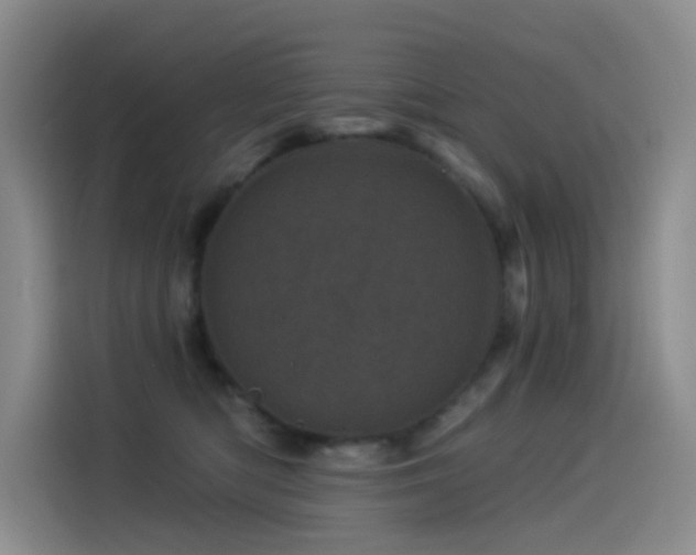 X0000114490422200910191235