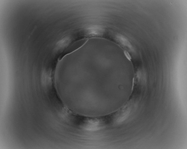 X0000114490423200910191235