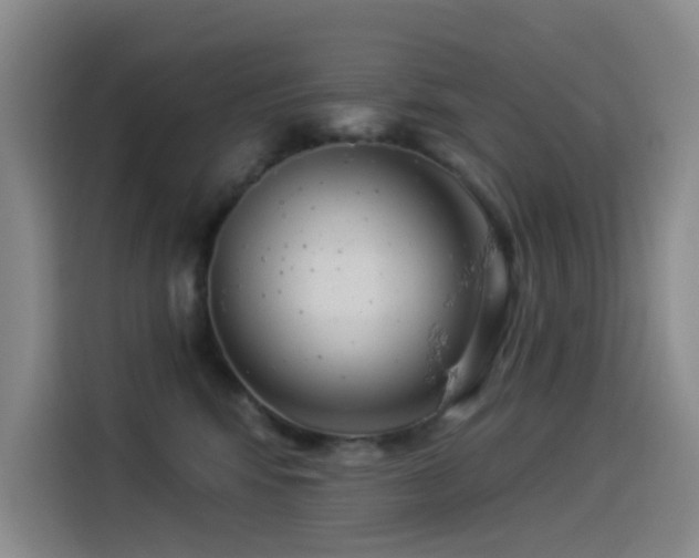 X0000114490424200910191235