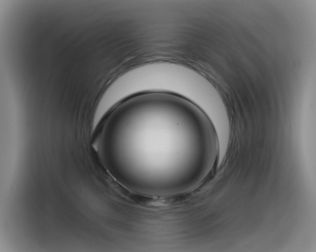 X0000114490425200910191235