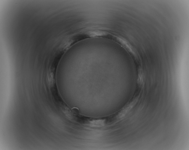 X0000114490426200910191234