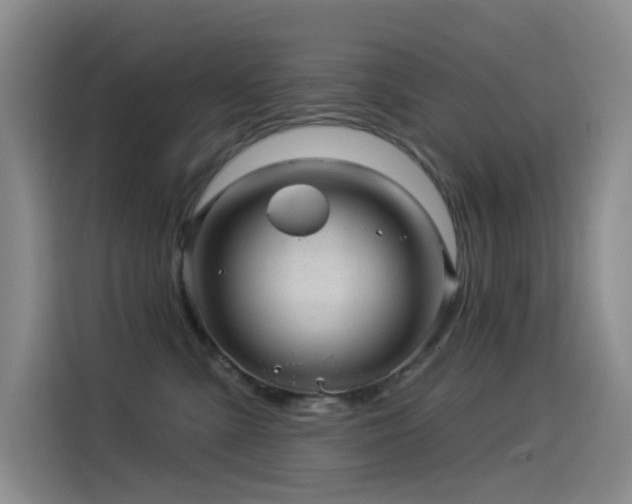 X0000114490427200910191234