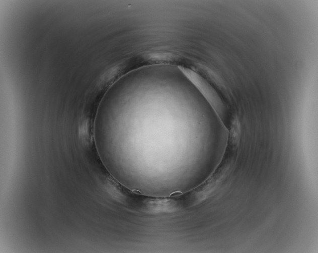 X0000114490428200910191234