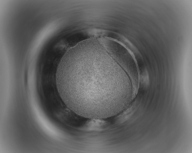 X0000114490429200910191234