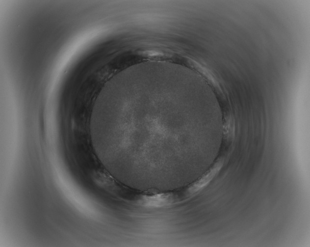 X0000114490430200910191234