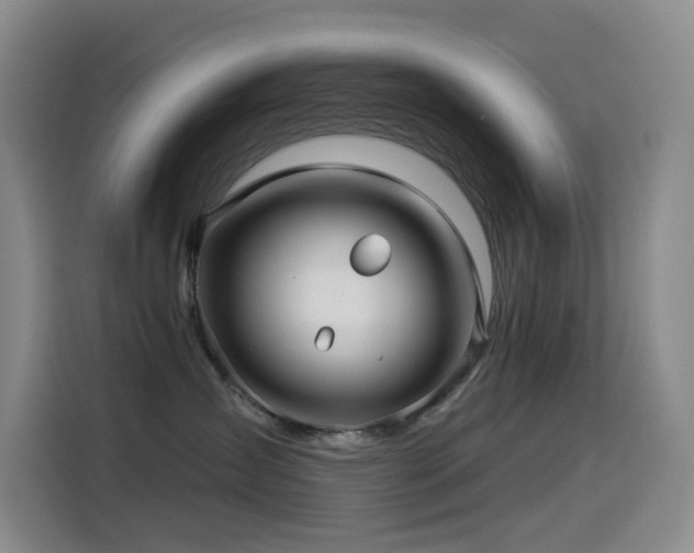 X0000114490431200910191234