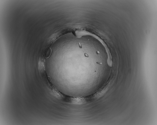 X0000114490432200910191234