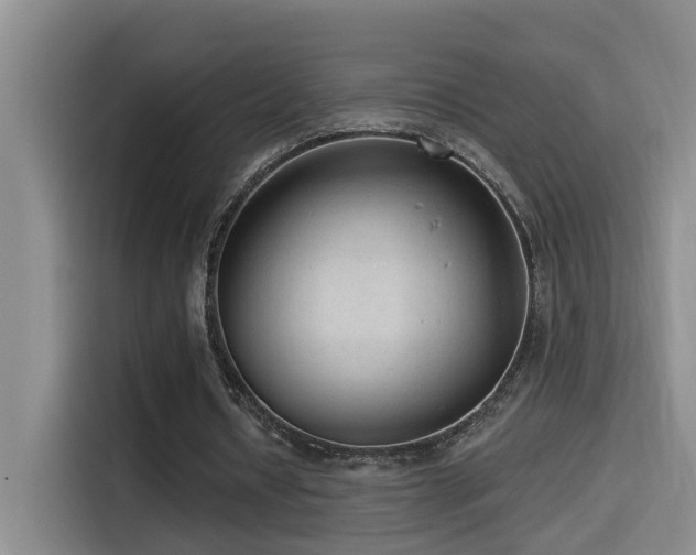 X0000114490434200910191234