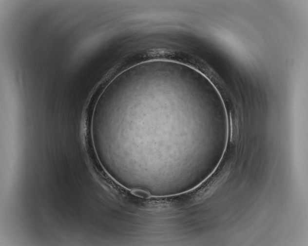 X0000114490435200910191234
