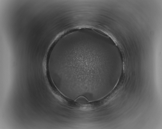 X0000114490438200910191234