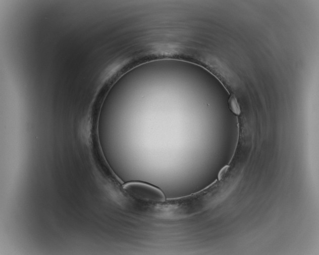 X0000114490440200910191234