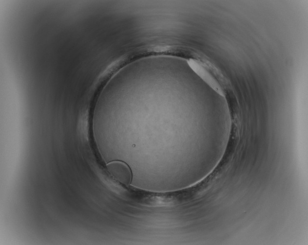 X0000114490442200910191234