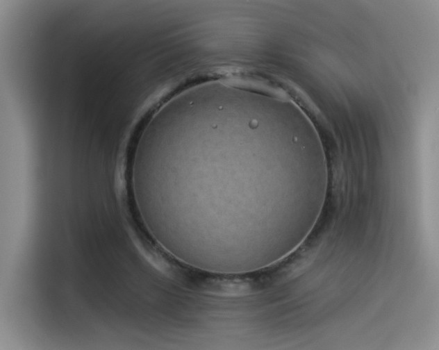 X0000114490443200910191234