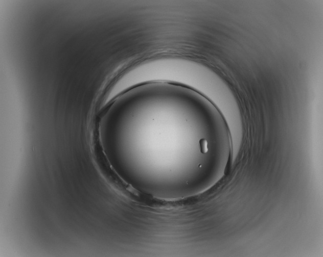 X0000114490444200910191234