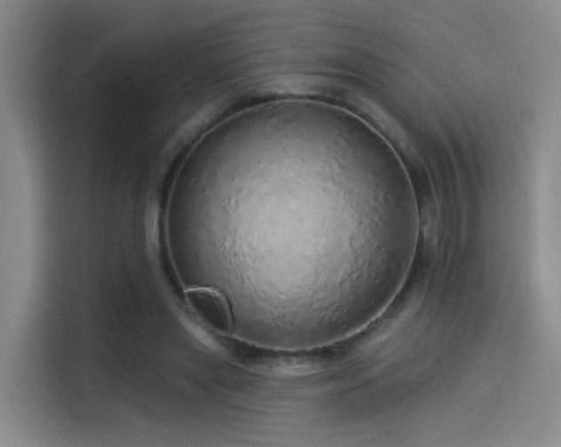 X0000114490445200910191234