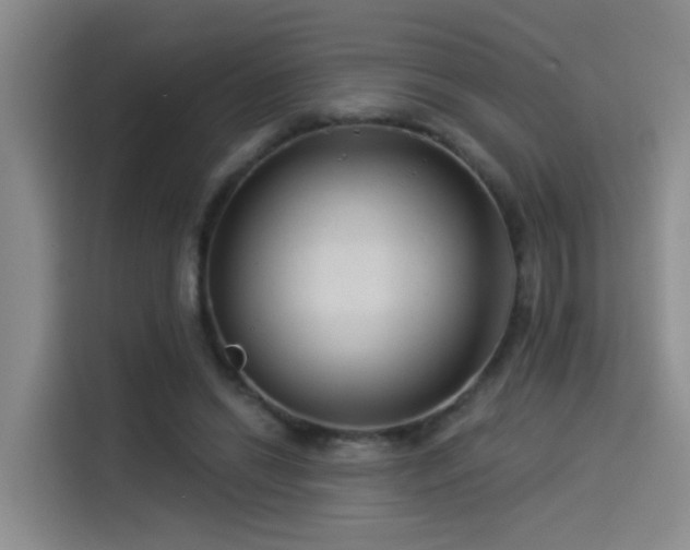 X0000114490446200910191234