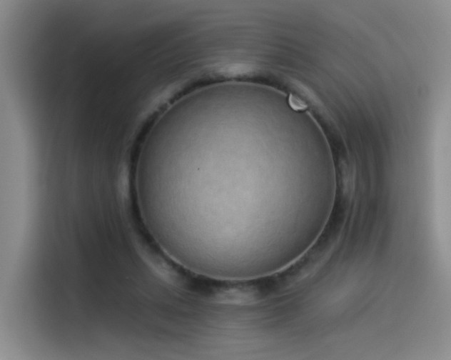 X0000114490447200910191234
