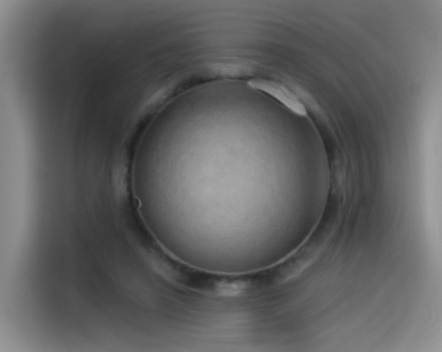 X0000114490450200910191234