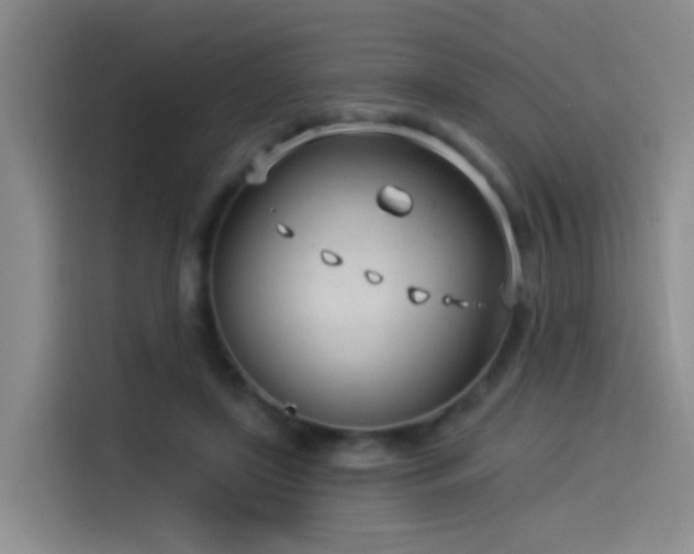 X0000114490451200910191234