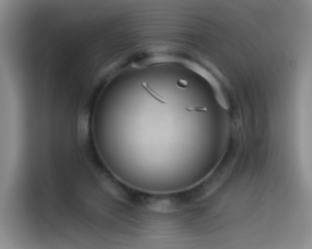 X0000114490454200910191234