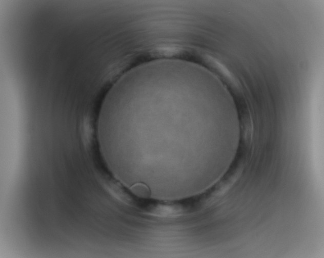 X0000114490455200910191234