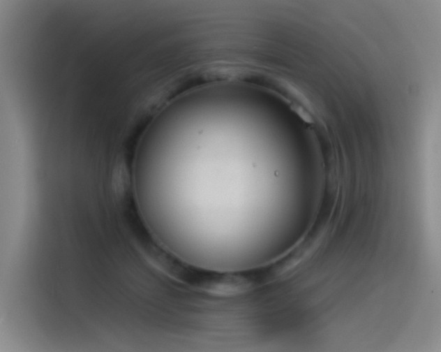 X0000114490459200910191234