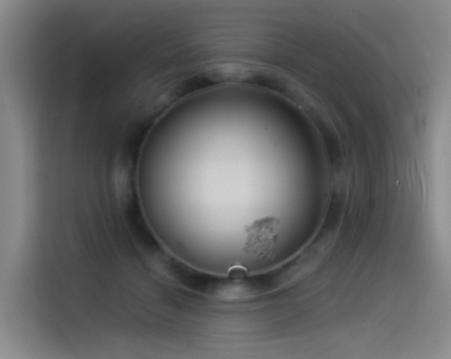 X0000114490460200910191234