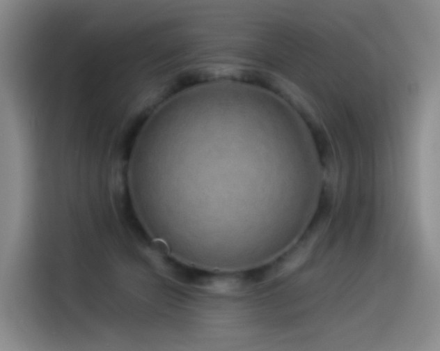 X0000114490462200910191234