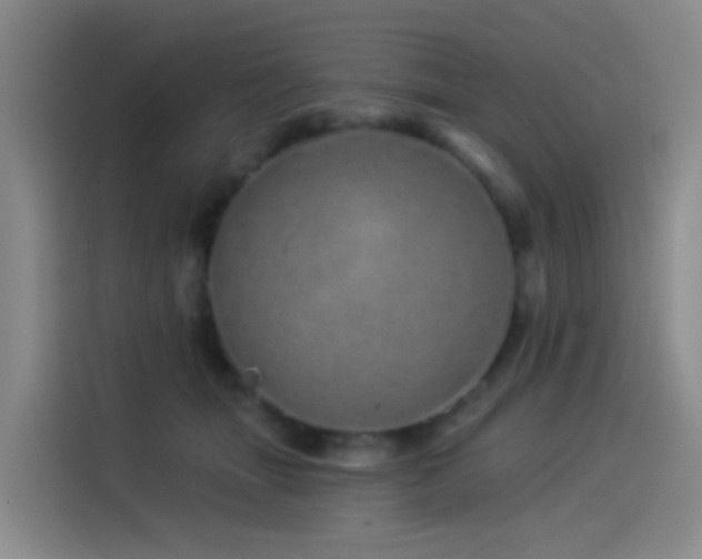 X0000114490463200910191234