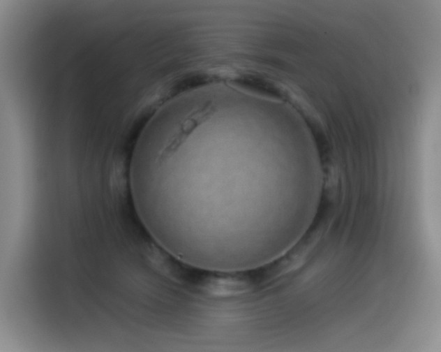X0000114490466200910191234